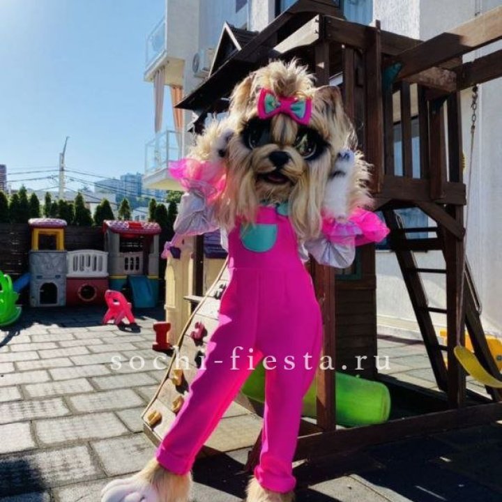 Аниматор Гламурная Собака в Комсомольске-на-Амуре