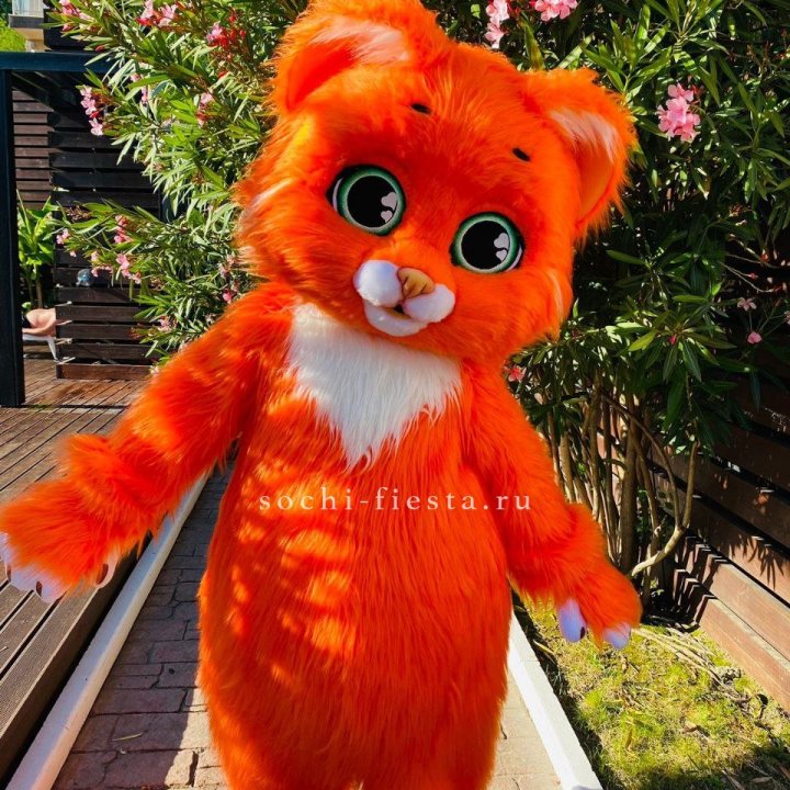 Аниматор Котик в Комсомольске-на-Амуре