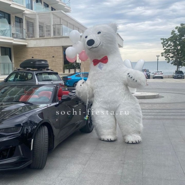 Аниматор Белый Медведь в Комсомольске-на-Амуре