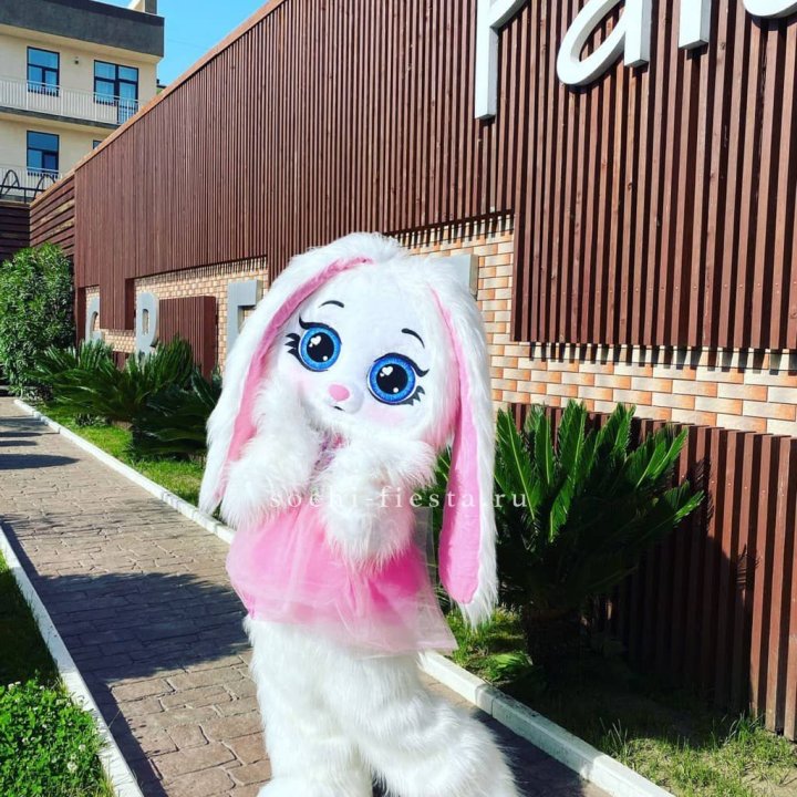 Аниматор Зайка в Комсомольске-на-Амуре