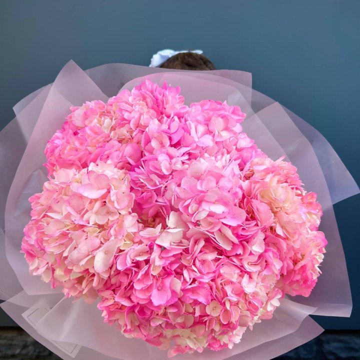 9 ярко розовых гортензий в Комсомольске-на-Амуре