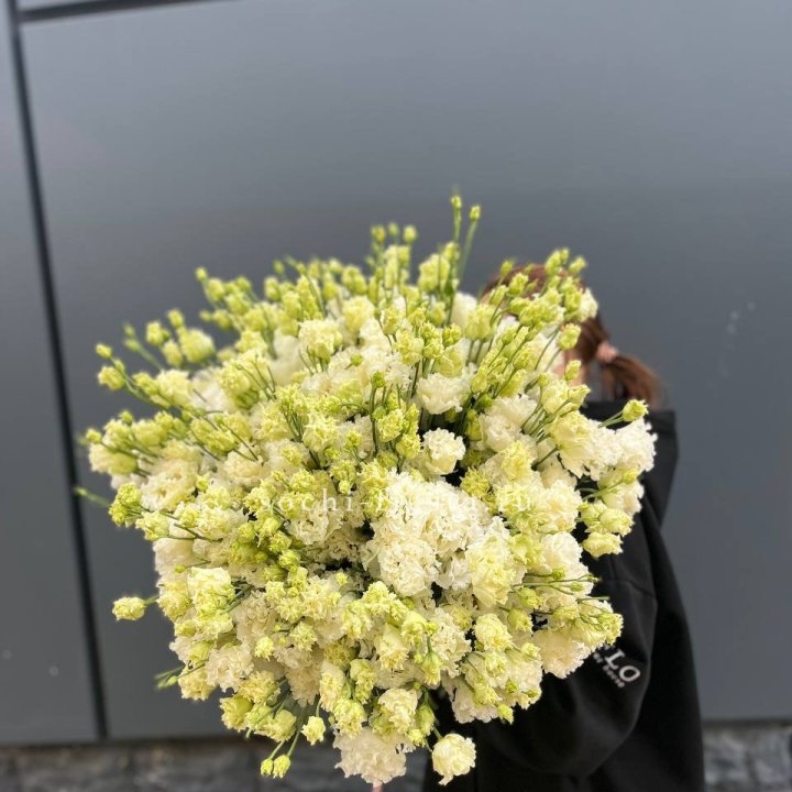 51 белая эустома в Комсомольске-на-Амуре