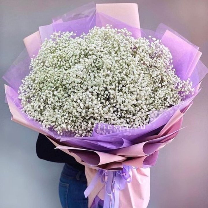 Облако белых гипсофил в Комсомольске-на-Амуре