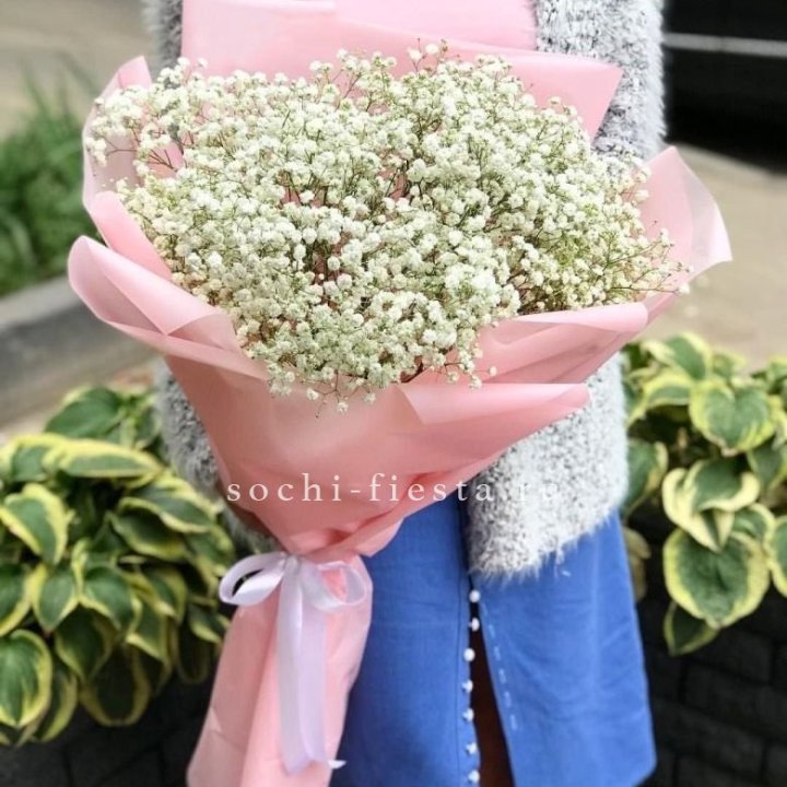 Белоснежные гипсофилы в Комсомольске-на-Амуре