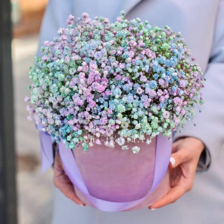 Гипсофилы в шляпной коробке "Кандилайт" в Комсомольске-на-Амуре