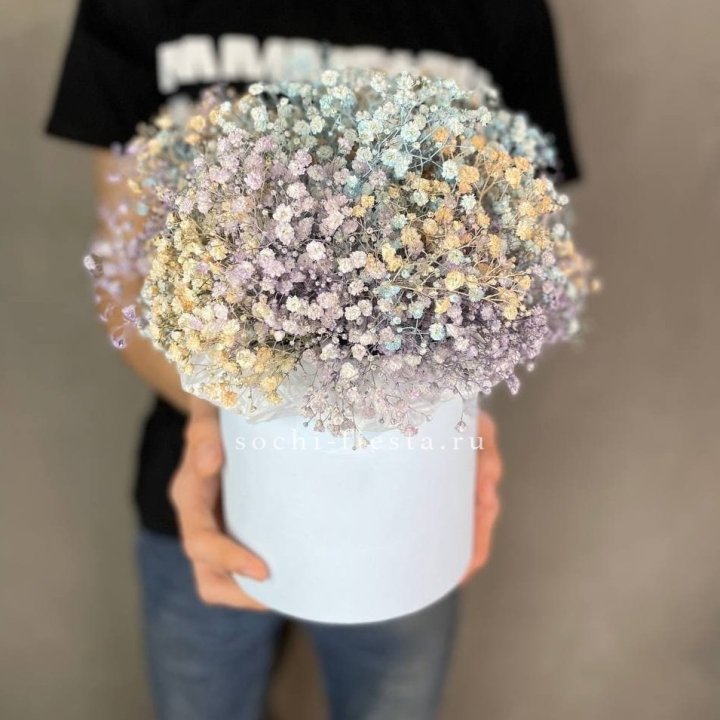 9 Радужных гипсофил в шляпной коробке в Комсомольске-на-Амуре