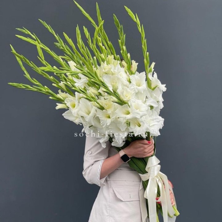 19 белых гладиолусов под ленту в Комсомольске-на-Амуре