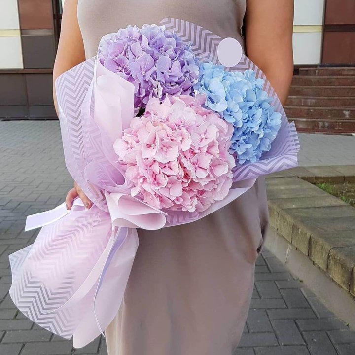 Букет гортензий "Пуф" в Комсомольске-на-Амуре