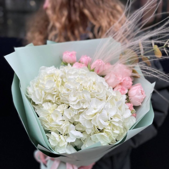 Гортензия "Жасмин" в Комсомольске-на-Амуре