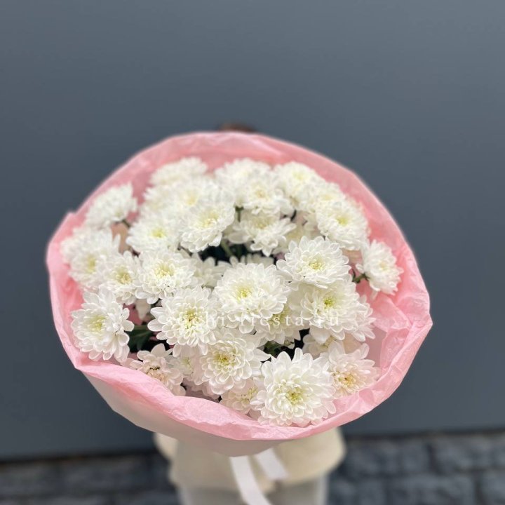  5 хризантем  с доставкой в Комсомольске-на-Амуре