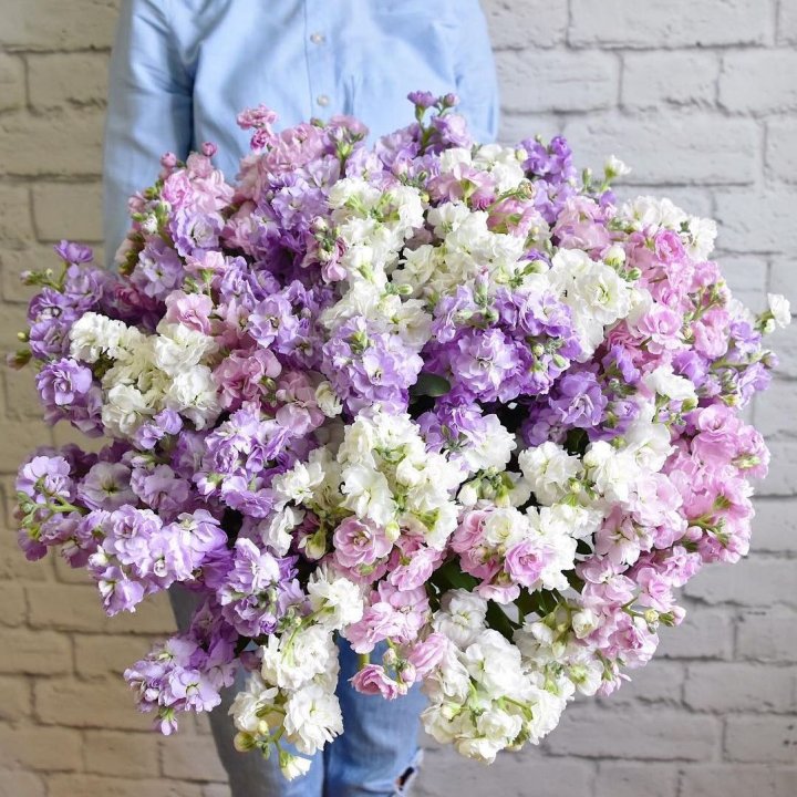 Облако маттиол в Комсомольске-на-Амуре