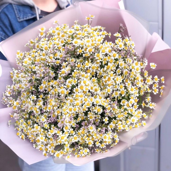 Букет ромашек №1 в Комсомольске-на-Амуре
