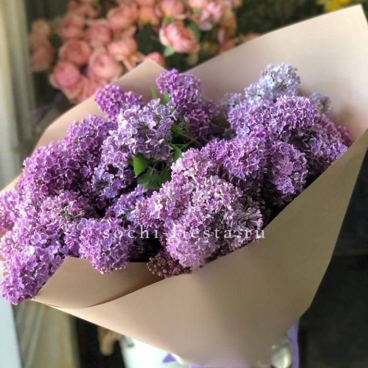 Букет сирени №2 в Комсомольске-на-Амуре