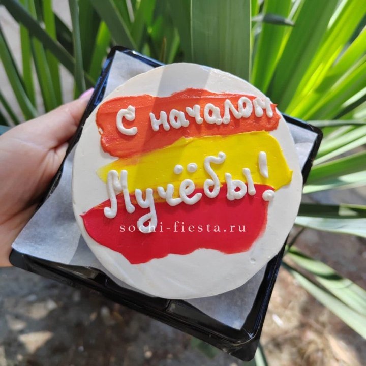 Бенто-торт "С началом учёбы"" в Комсомольске-на-Амуре