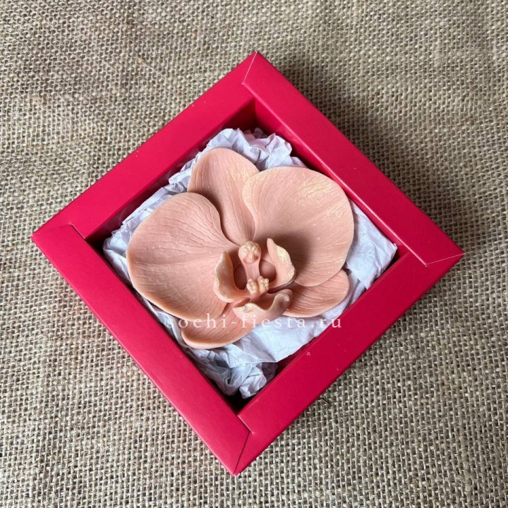 Бельгийский шоколад Орхидея в Комсомольске-на-Амуре