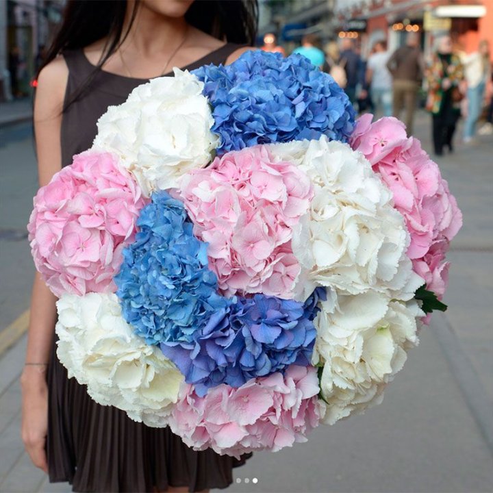 Букет гортензий "Инь-Янь" в Комсомольске-на-Амуре