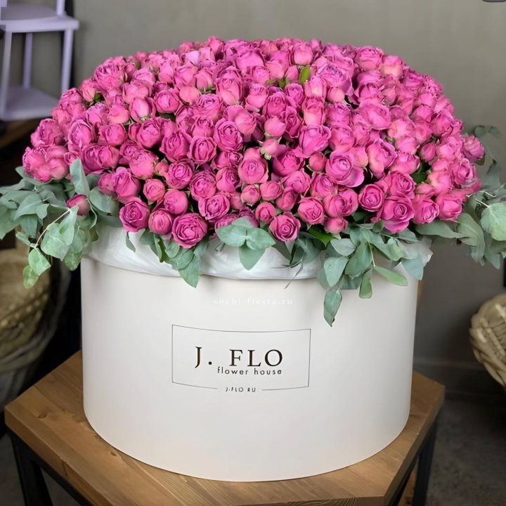 Цилиндр с Мисти Бабблс  в Комсомольске-на-Амуре