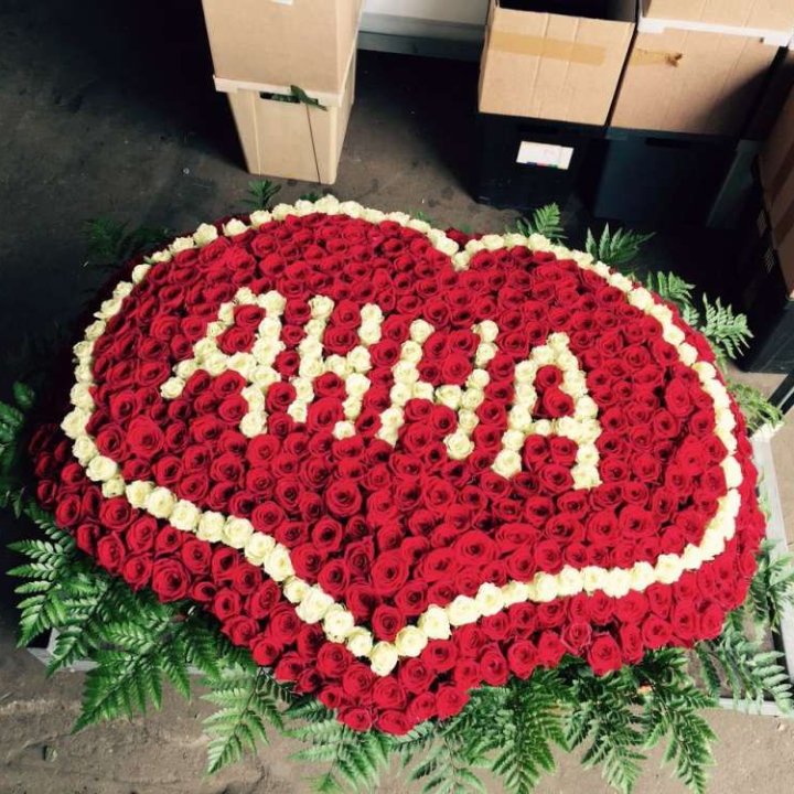 555 роз с именем в Комсомольске-на-Амуре