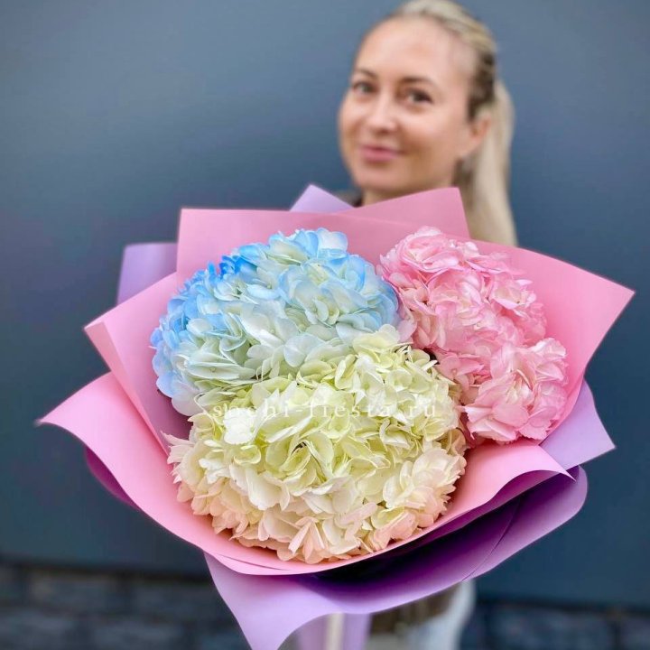 Букет гортензий "Тоника" в Комсомольске-на-Амуре