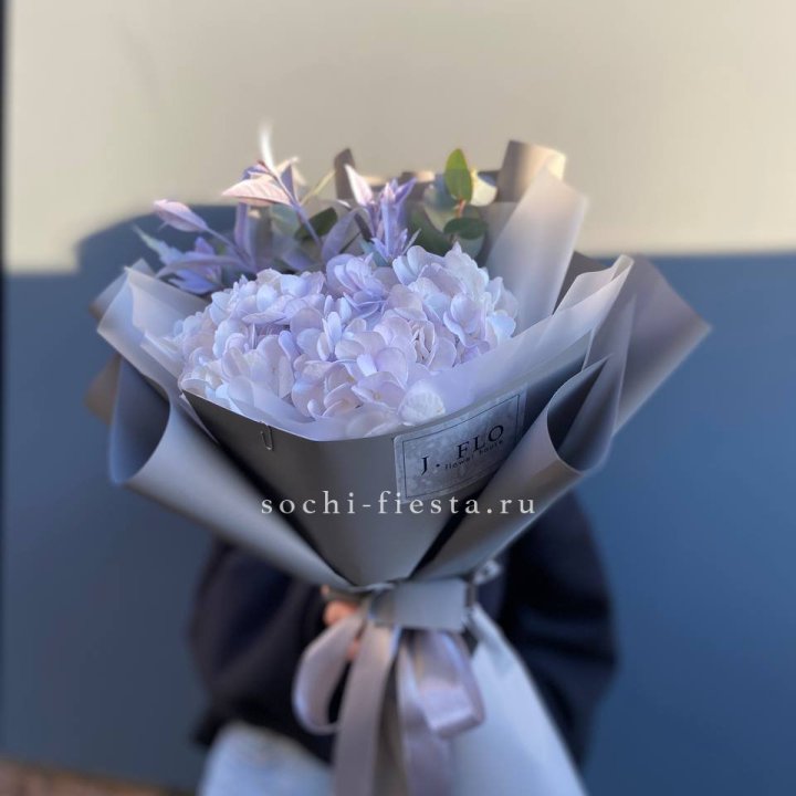 Гортензия "Виолета" в Комсомольске-на-Амуре