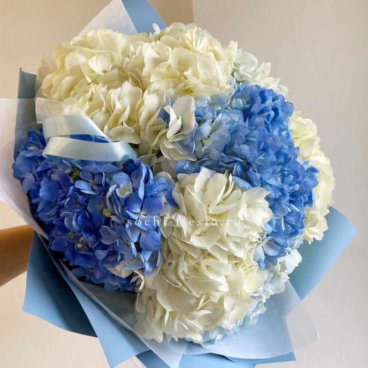 Букет гортензий "Голубая лаза" в Комсомольске-на-Амуре