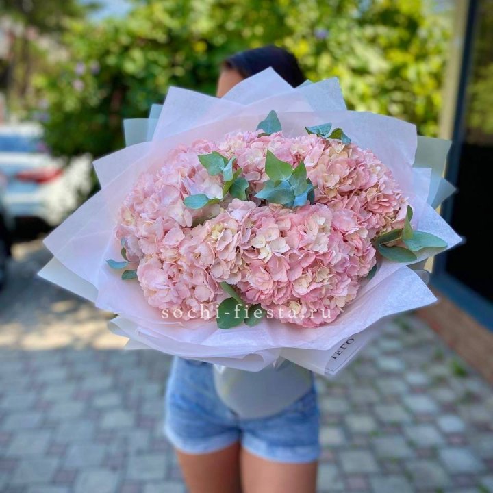 5 розовых гортензий  в Комсомольске-на-Амуре
