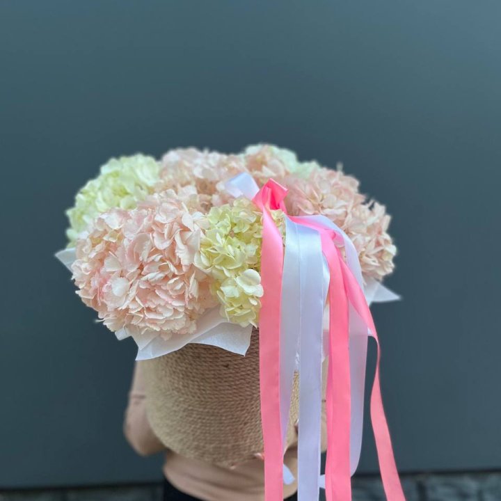 7 гортензий в кашпо в Комсомольске-на-Амуре