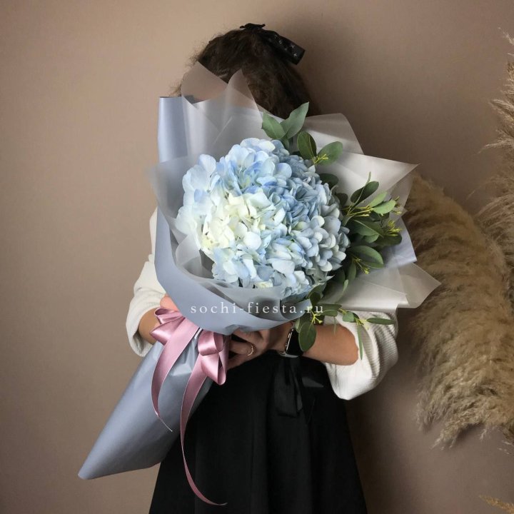 Гортензия Уно в Комсомольске-на-Амуре