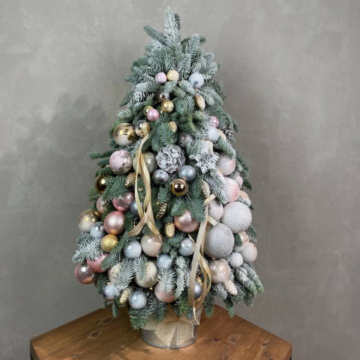 Новогодняя ёлка из веток датского нобилиса в Комсомольске-на-Амуре