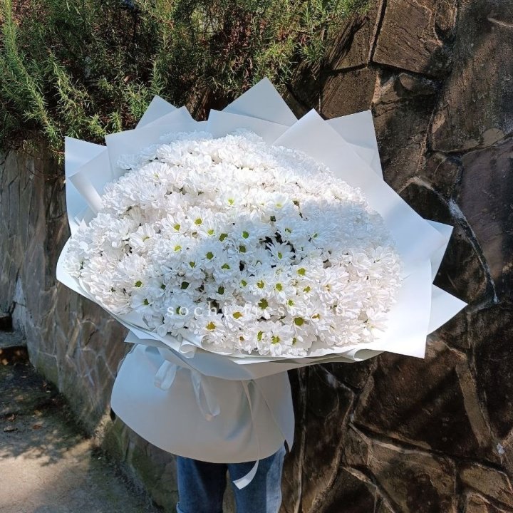 Облако хризантем №2 в Комсомольске-на-Амуре