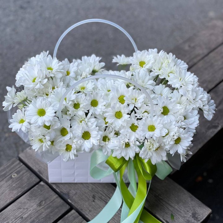 Сумка с хризантемами ромашками в Комсомольске-на-Амуре