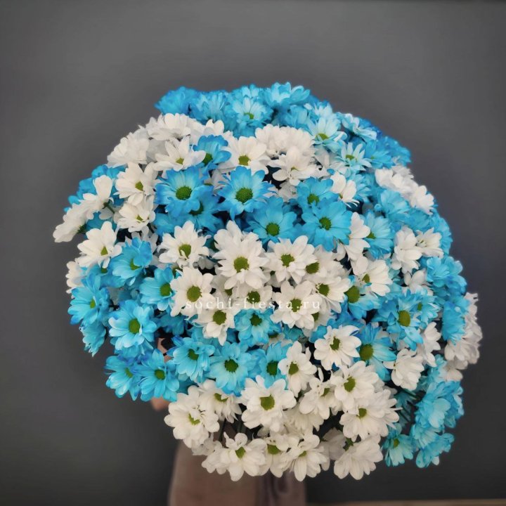  Букет хризантем микс в Комсомольске-на-Амуре