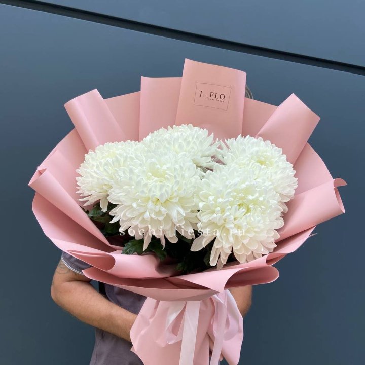 Профитроли №2 в Комсомольске-на-Амуре