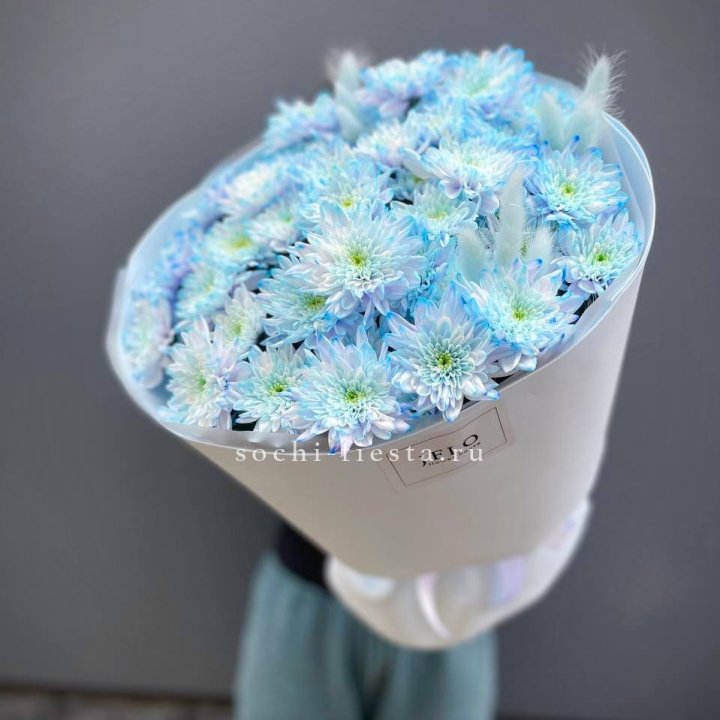  Букет нежно-голубых хризантем  в Комсомольске-на-Амуре