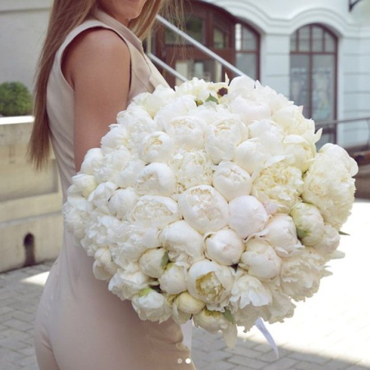 51 белый пион в Комсомольске-на-Амуре