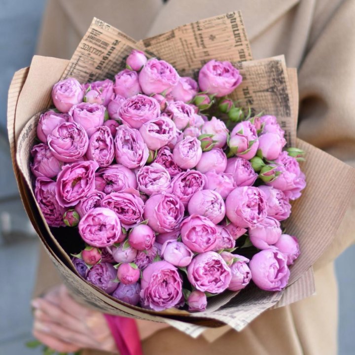 Роза Мисти Баблс в Комсомольске-на-Амуре