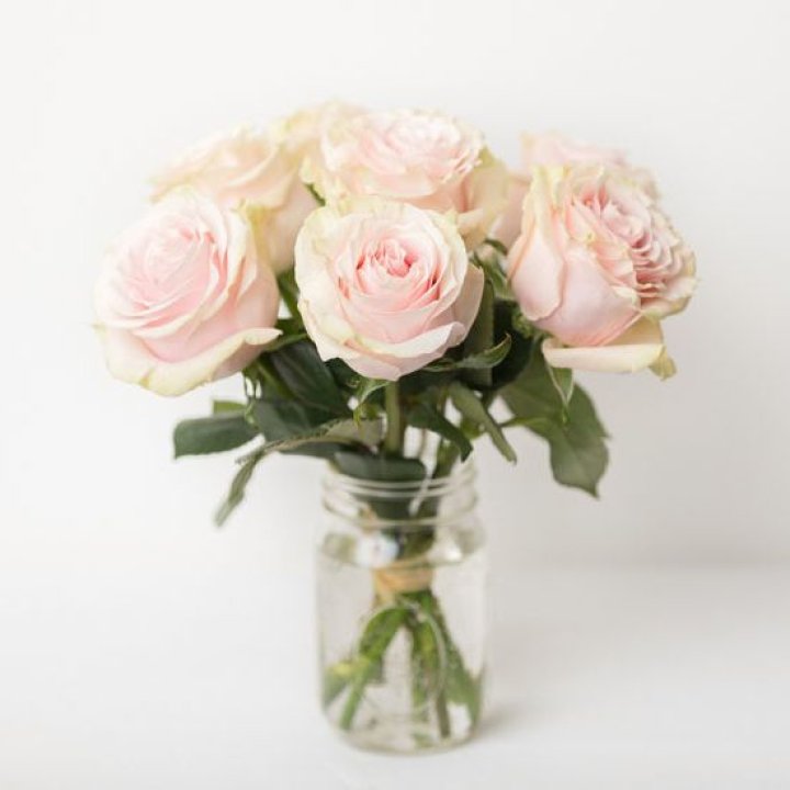 7 кремовых роз в Комсомольске-на-Амуре