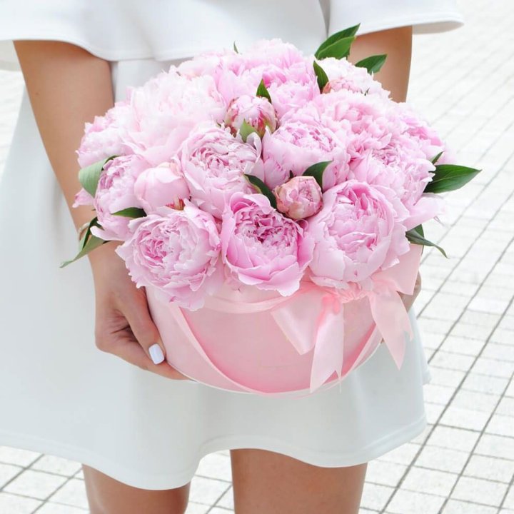 Пионы в шляпной коробке в Комсомольске-на-Амуре