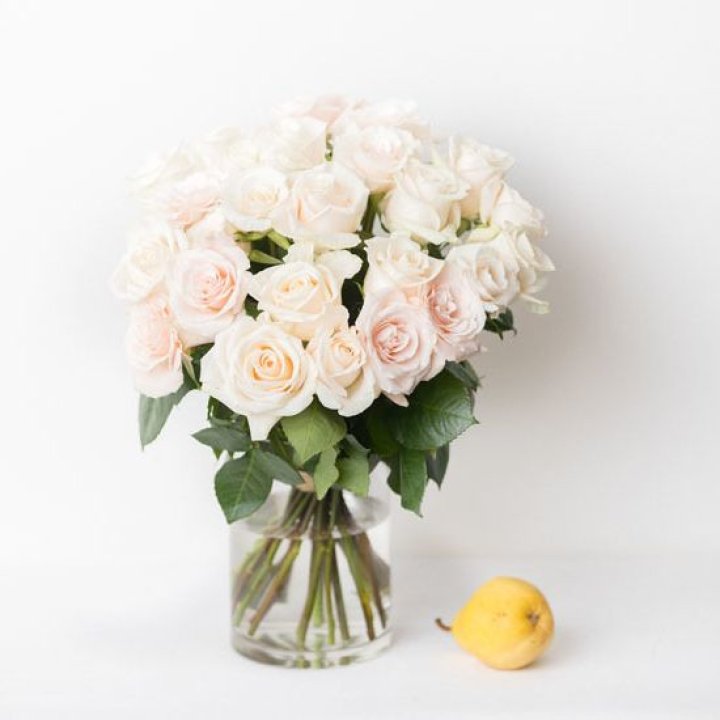 25 кремовых роз в Комсомольске-на-Амуре