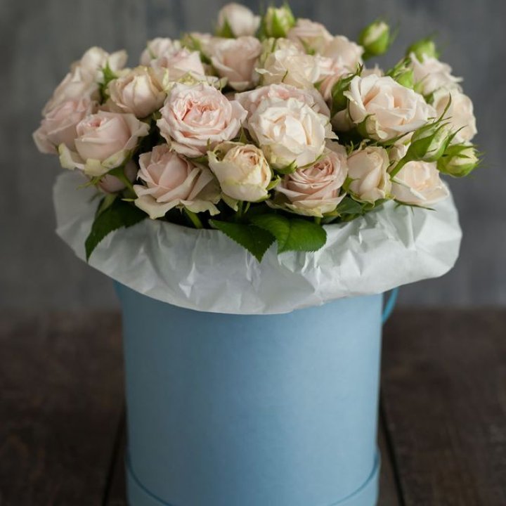 Бокс с бомбастиком в Комсомольске-на-Амуре