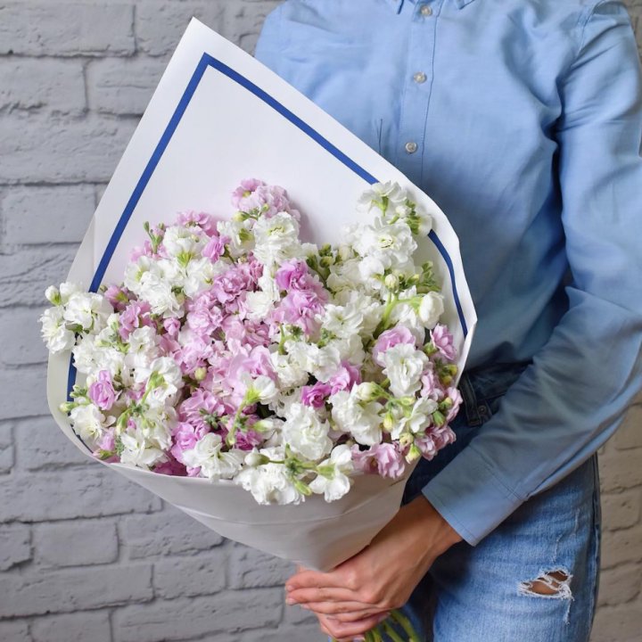 Маттиола в Комсомольске-на-Амуре