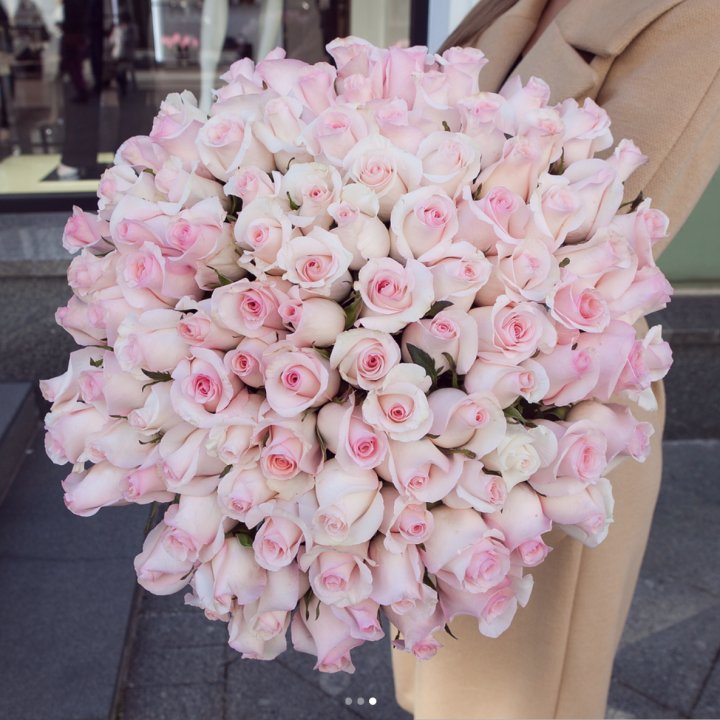 Розы "Пинк бум" в Комсомольске-на-Амуре