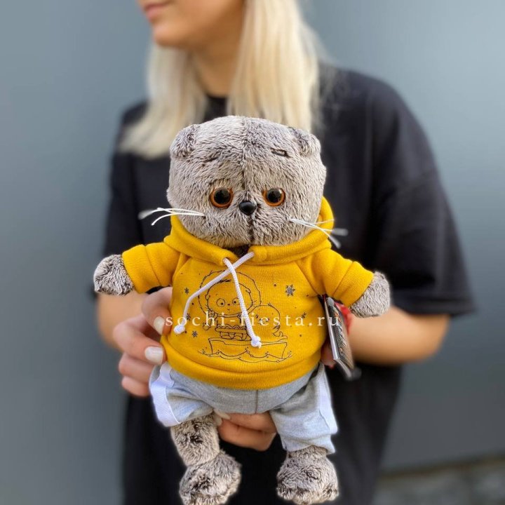 Кот Басик в худи в Комсомольске-на-Амуре