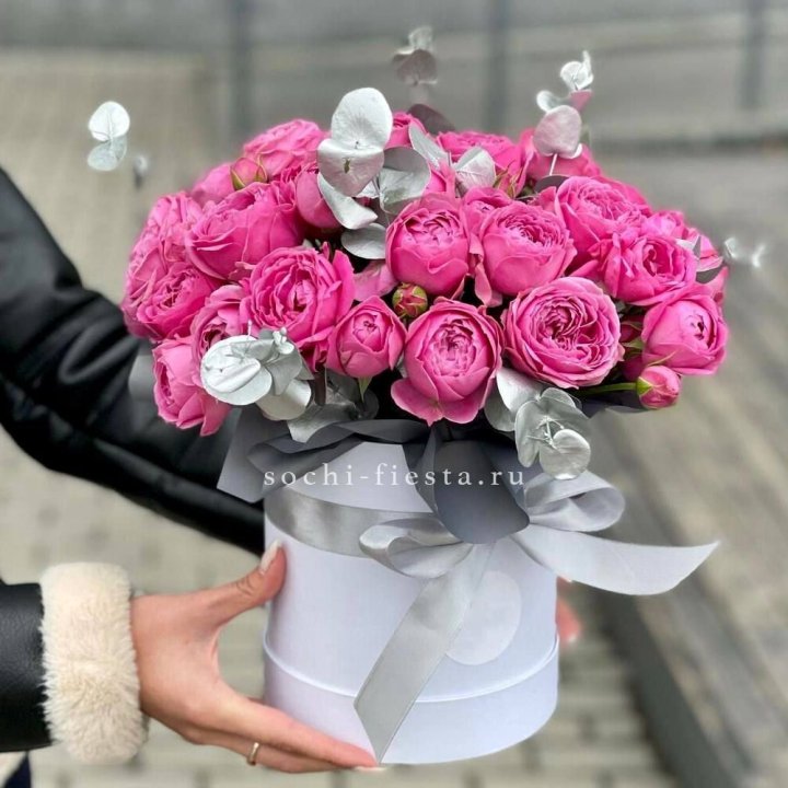 Бокс мисти баблс №2 в Комсомольске-на-Амуре