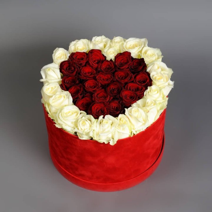 39 красных и белых роз в цилиндре в Комсомольске-на-Амуре