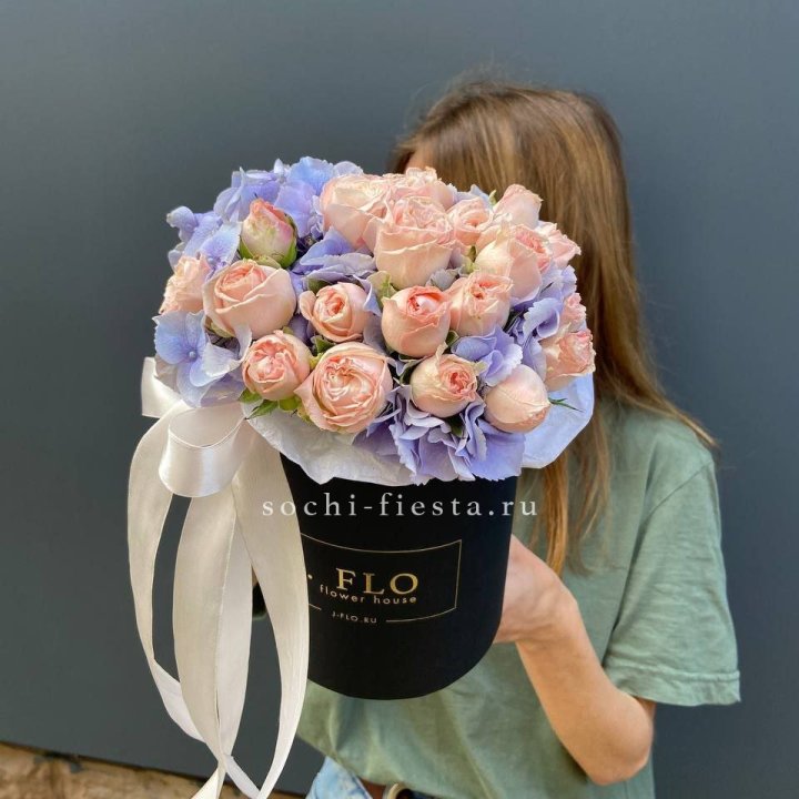 Бокс бомбастик и гортензия в Комсомольске-на-Амуре