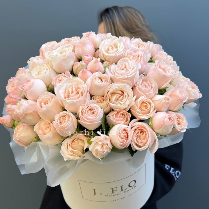 Бомбастик бокс Премьер в Комсомольске-на-Амуре