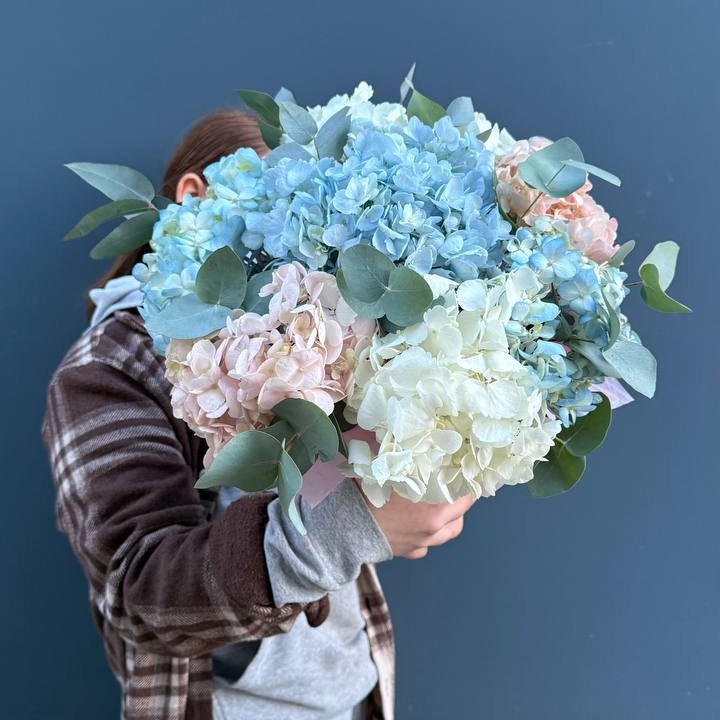 Гортензии в коробочке в Комсомольске-на-Амуре