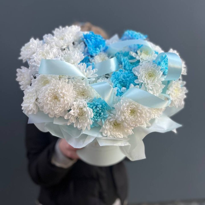 Хризнтемы в боксе в Комсомольске-на-Амуре