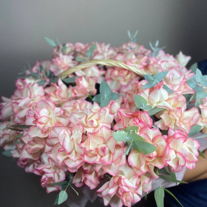 51 джумилия  в корзине   в Комсомольске-на-Амуре